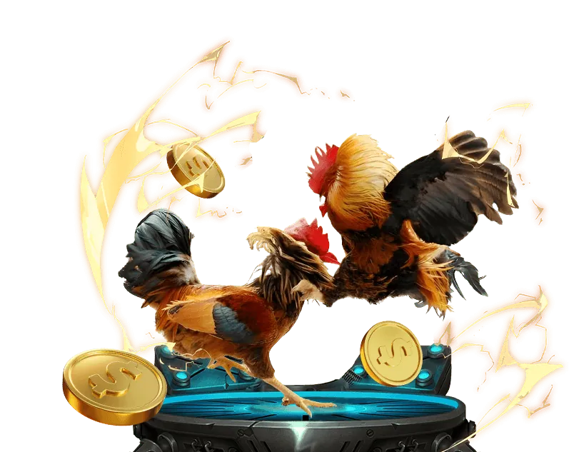 Chiến lược cá cược đá gà Thomo C2